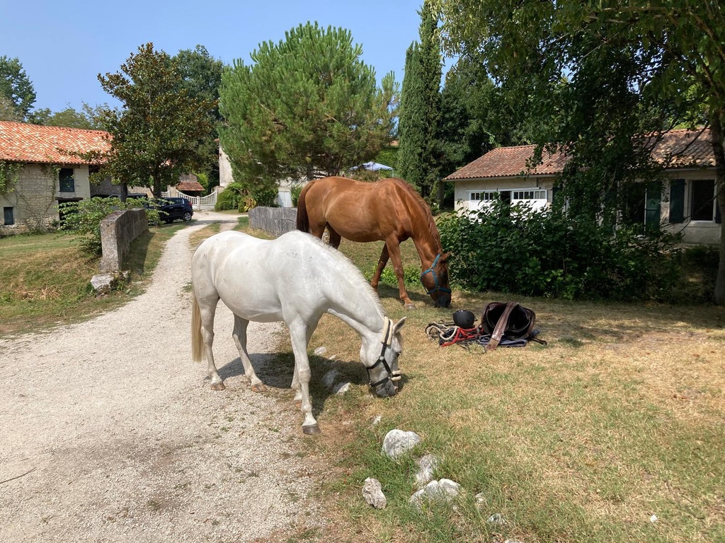 Orlando & Gaspard